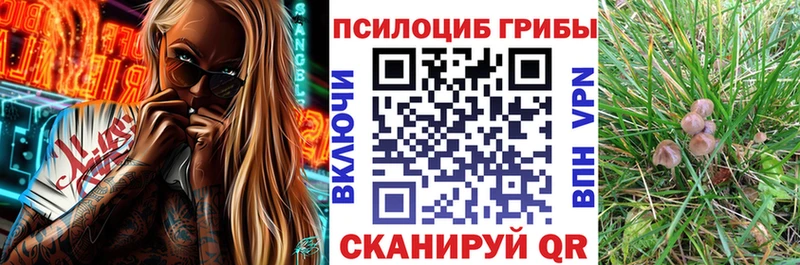 Галлюциногенные грибы мухоморы  магазин продажи   Ветлуга 