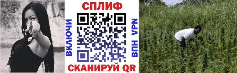 Бошки Шишки Ganja  блэк спрут зеркало  Ветлуга  как найти закладки 